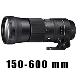 Sigma 150-600 mm DG Lens