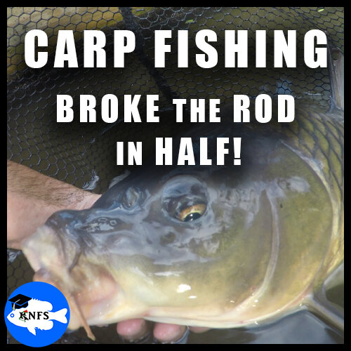 3 Carp Fishing knfS KOAW NATURE.jpg