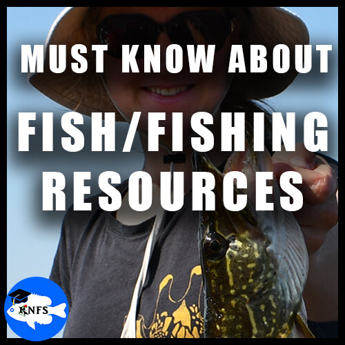 Fishing and Fish Resources - Must Know About