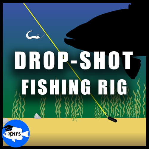 Drop-Shot Fishing KNFS