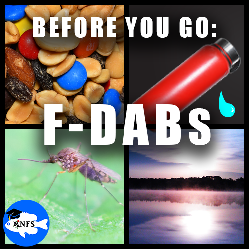 FDaBSBeforeFishingNeedsKNFSThumbnail.png