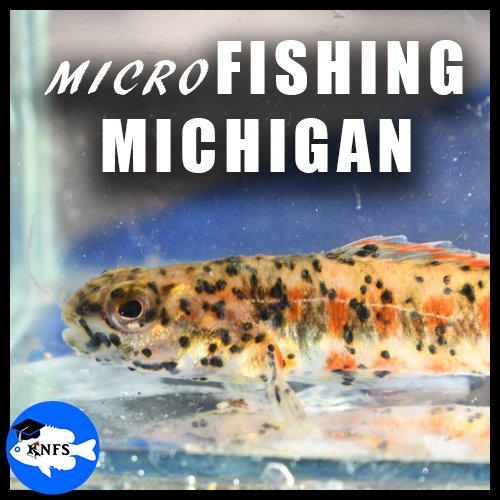 KNFS FISHING ADVENTURES Microfishing Michigan.jpg