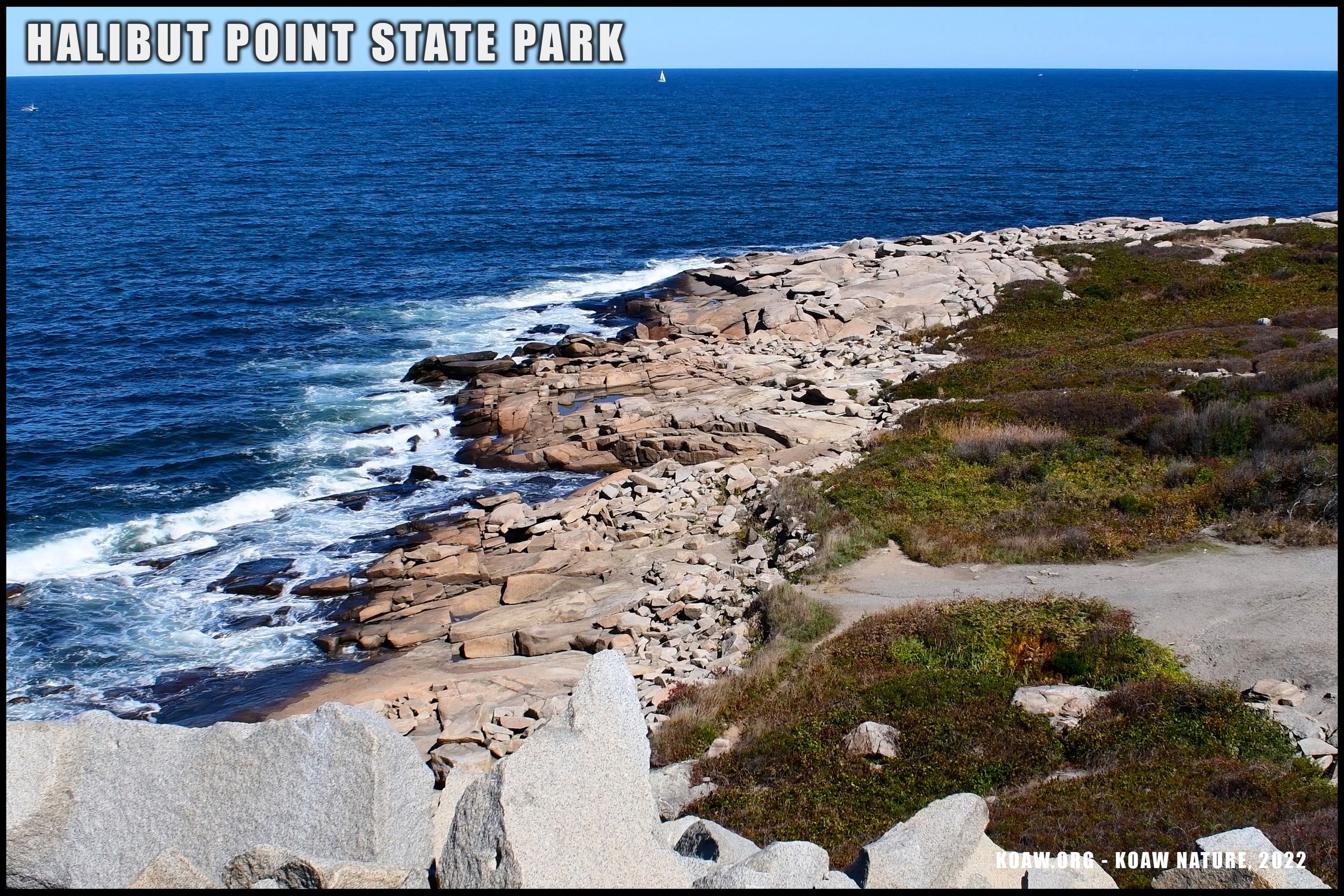 Ocean View Point at Halibut Point State Park