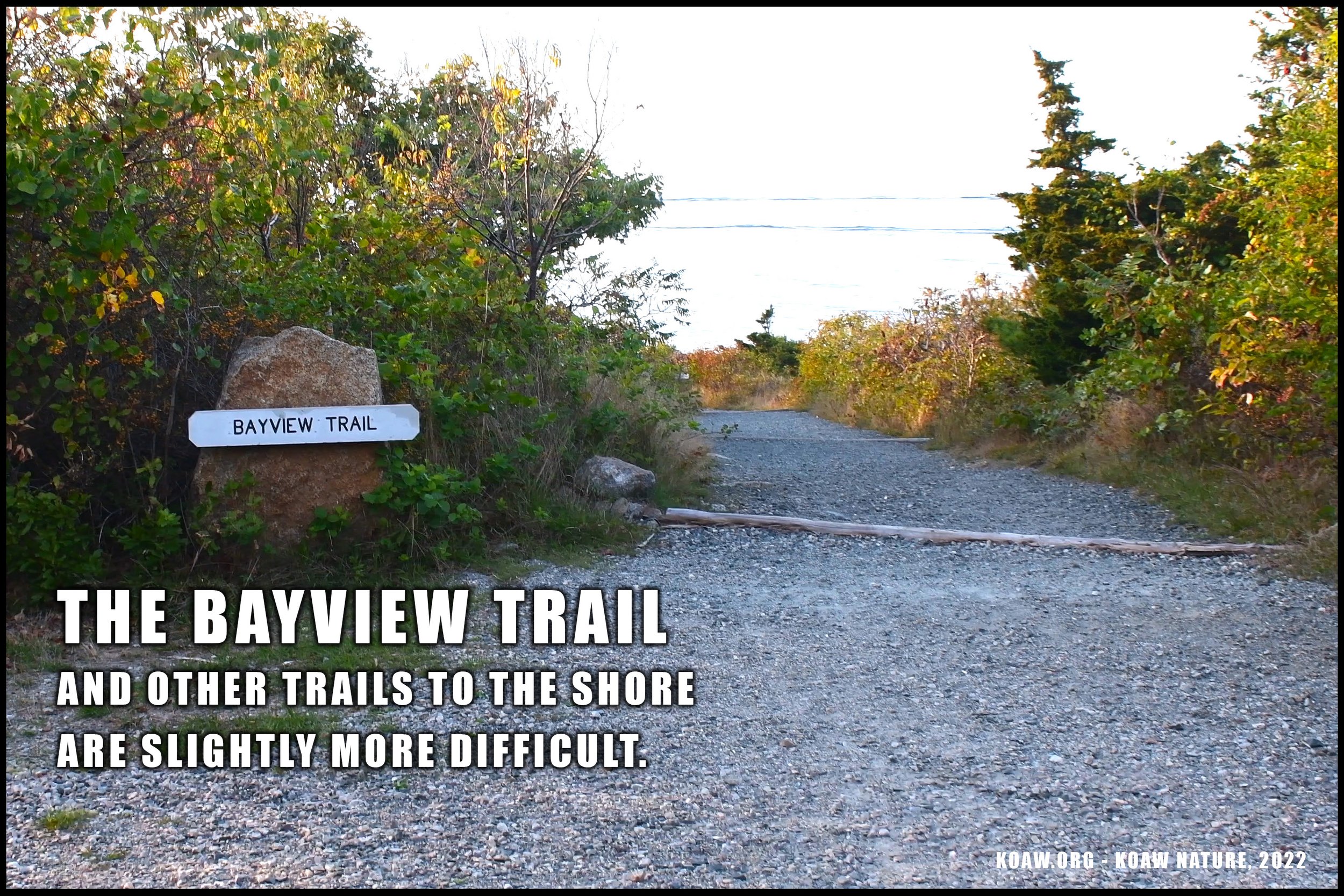 Bayview Trail Halibut Point State Park