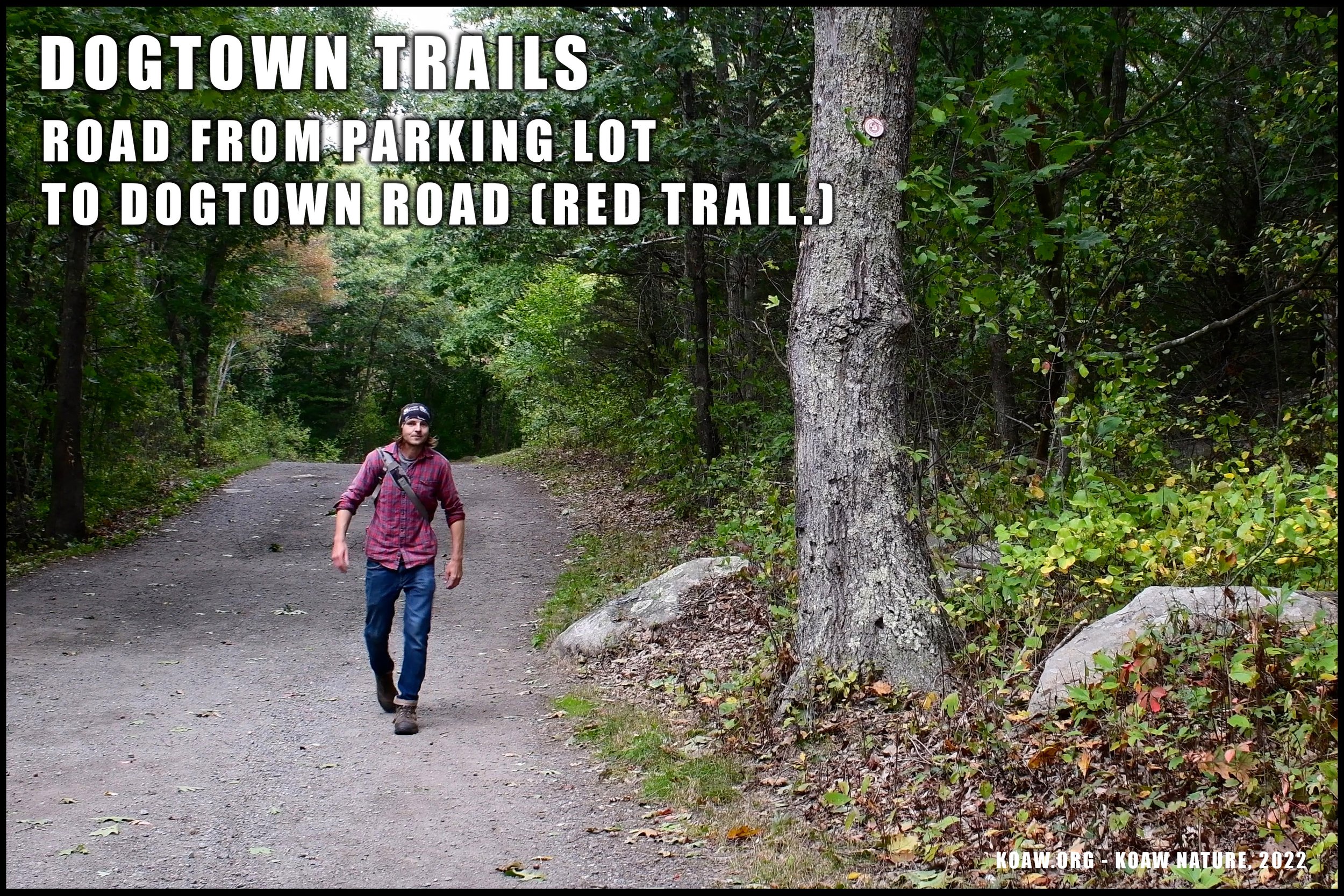 Dogtown Trails