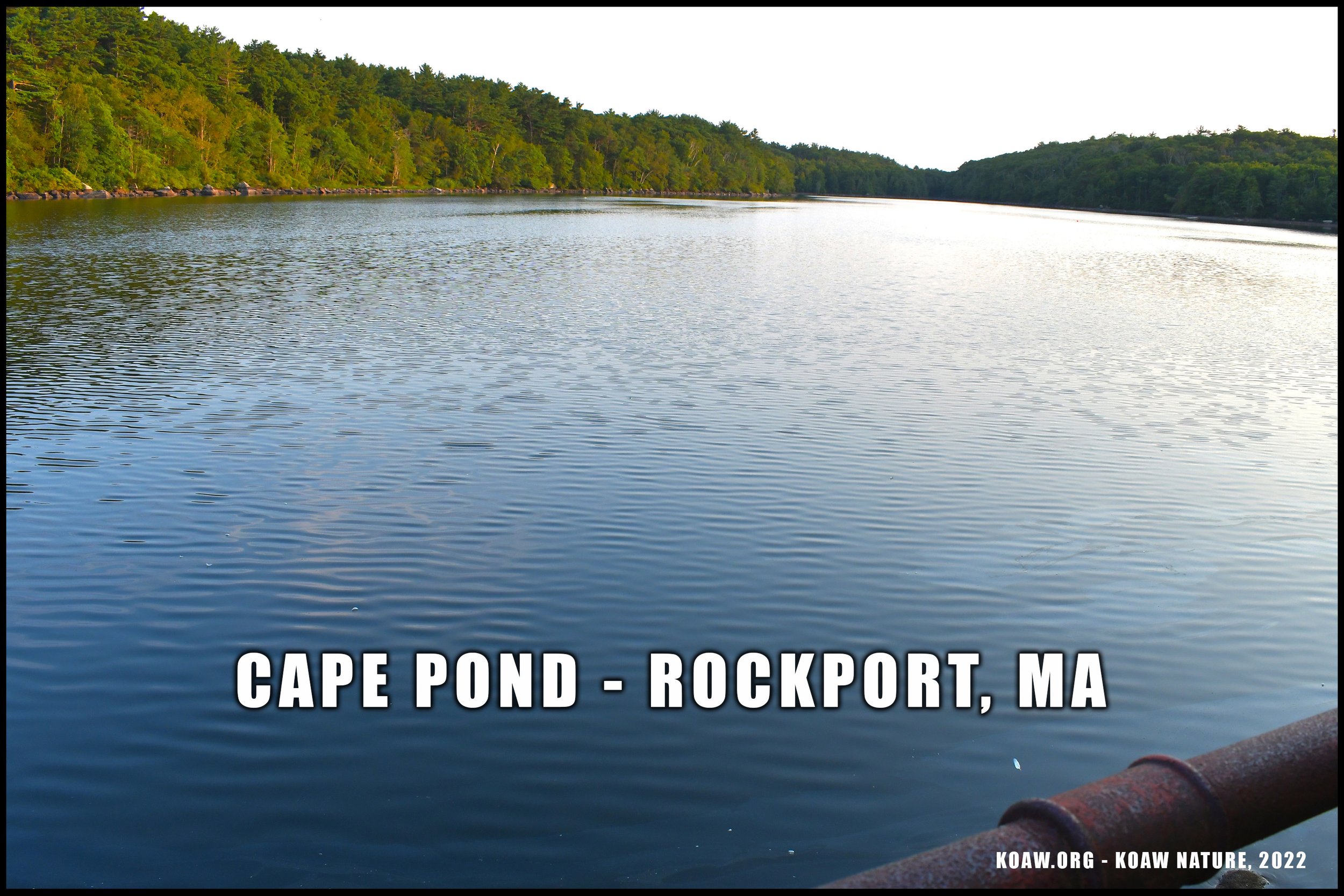 Photo of Cape Pond in Rockport