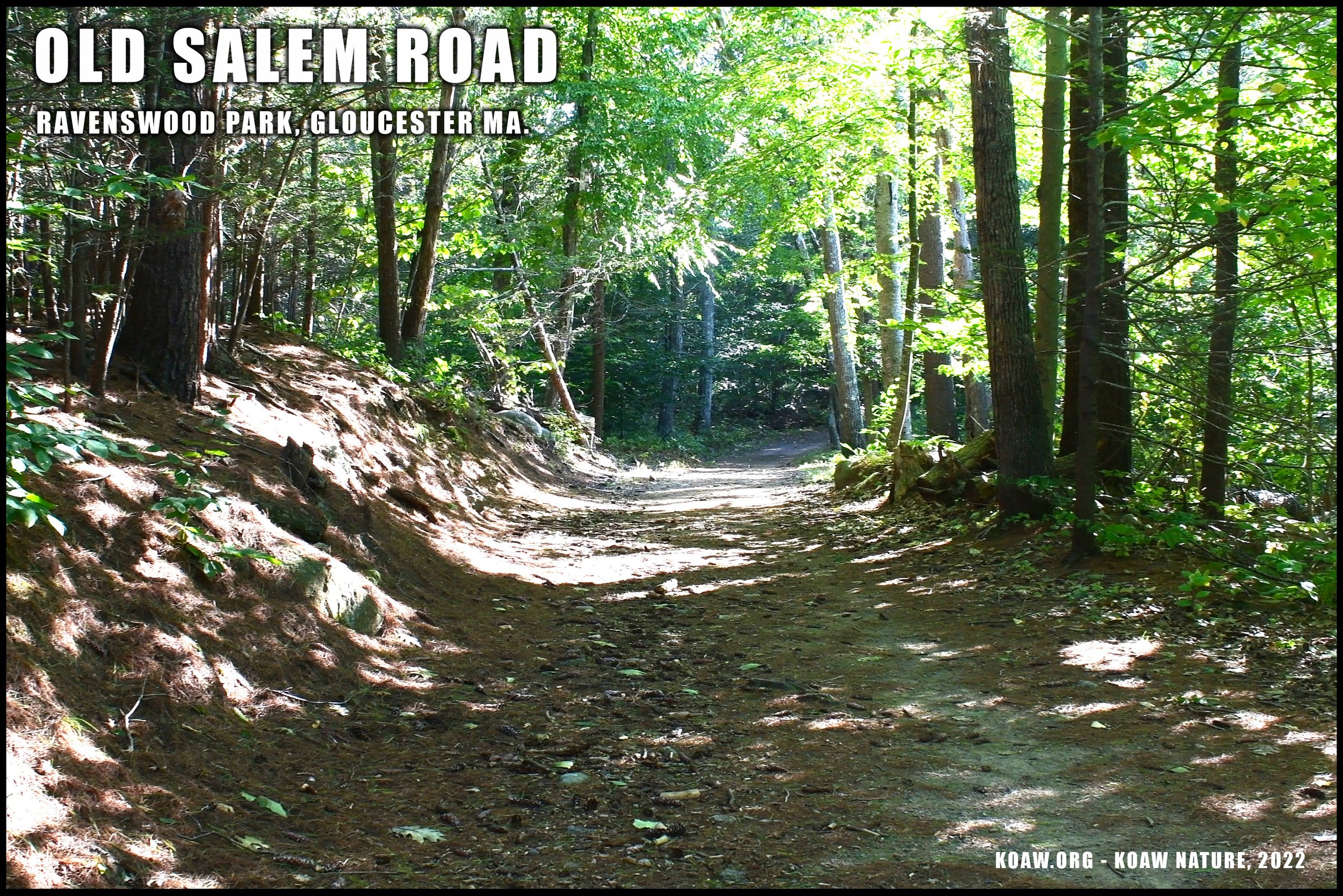 Old Salem Road Trail Ravenswood Park