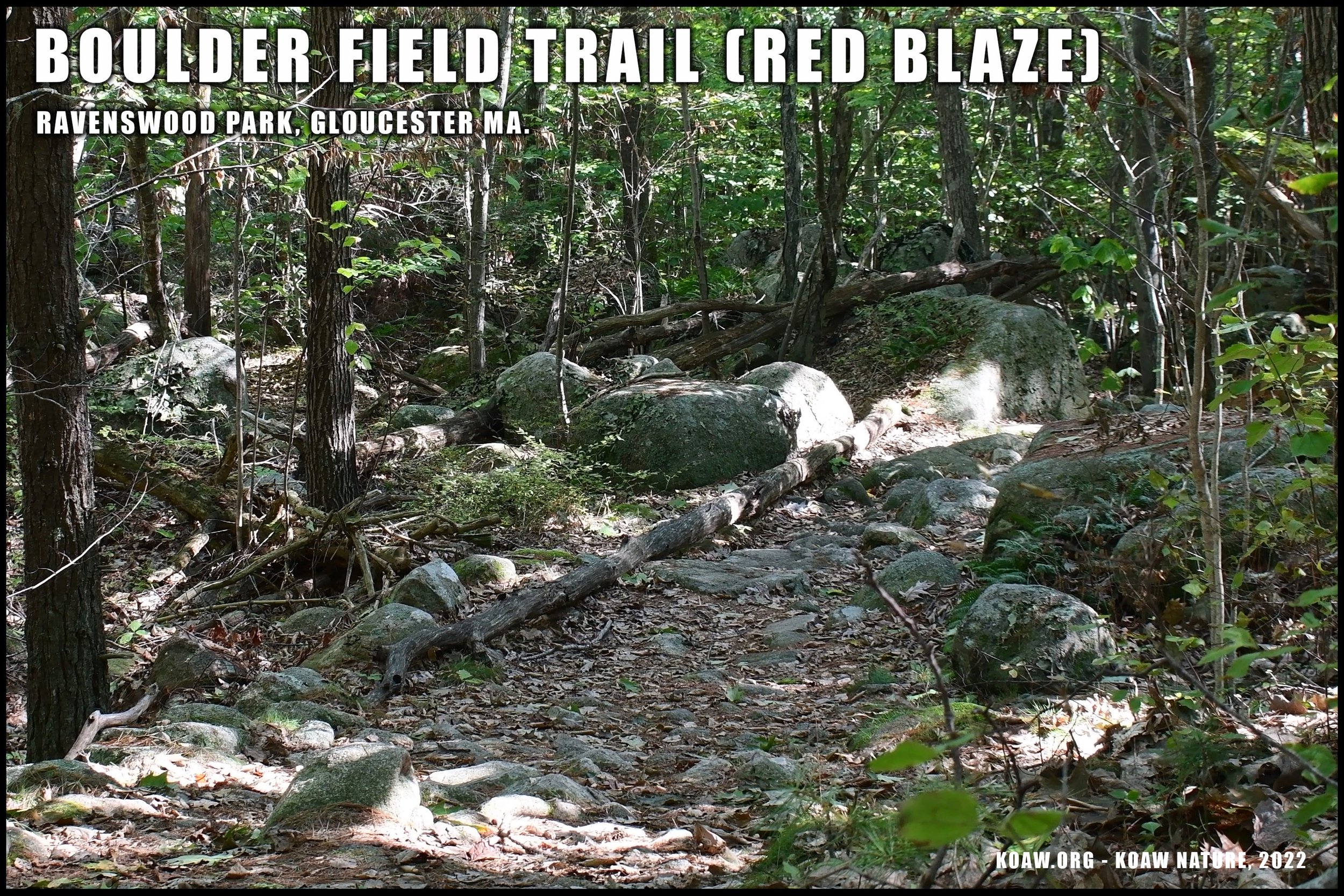 Boulder Field Trail (Red Blaze) Ravenswood Park