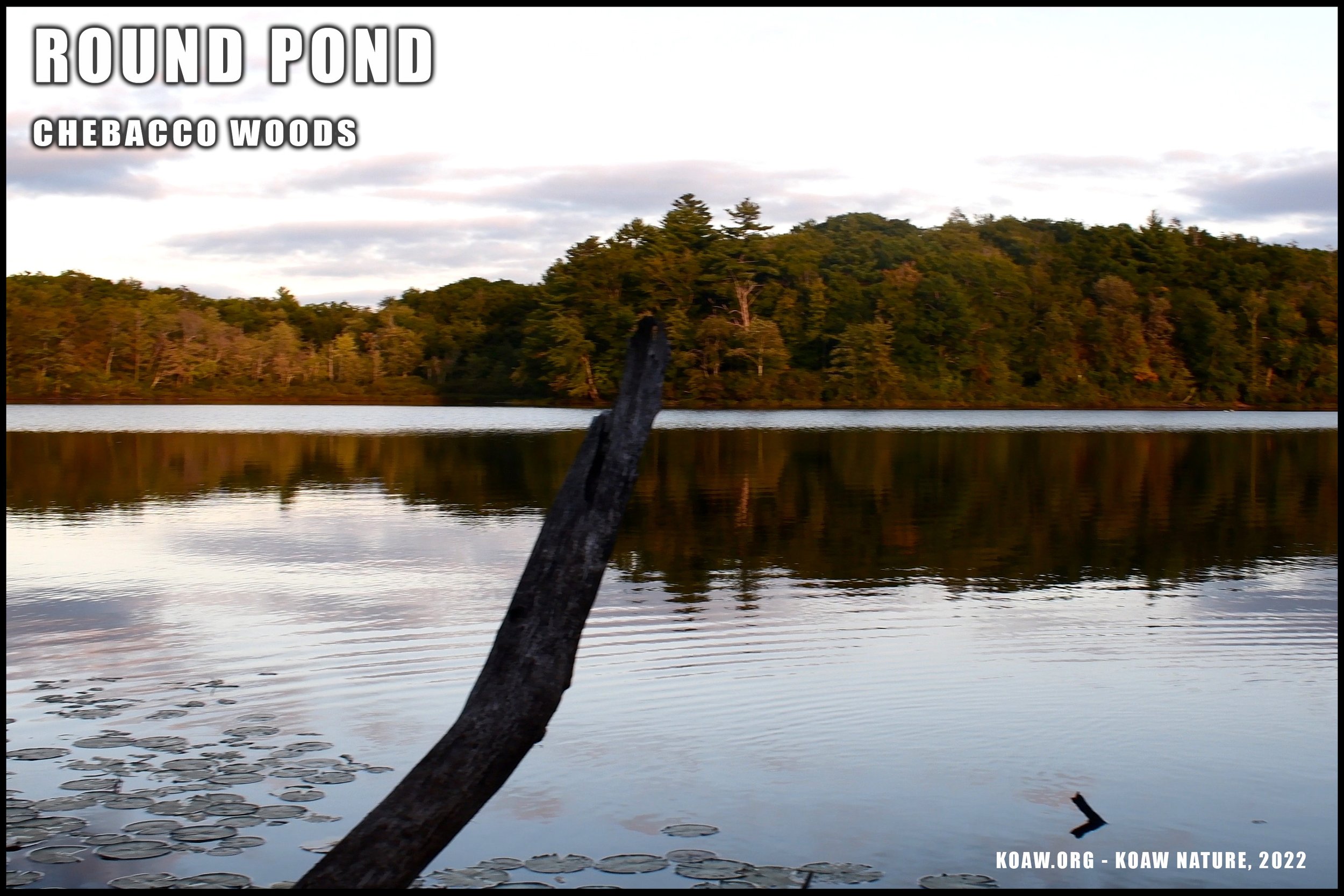 Round Pond at Chebacco Woods
