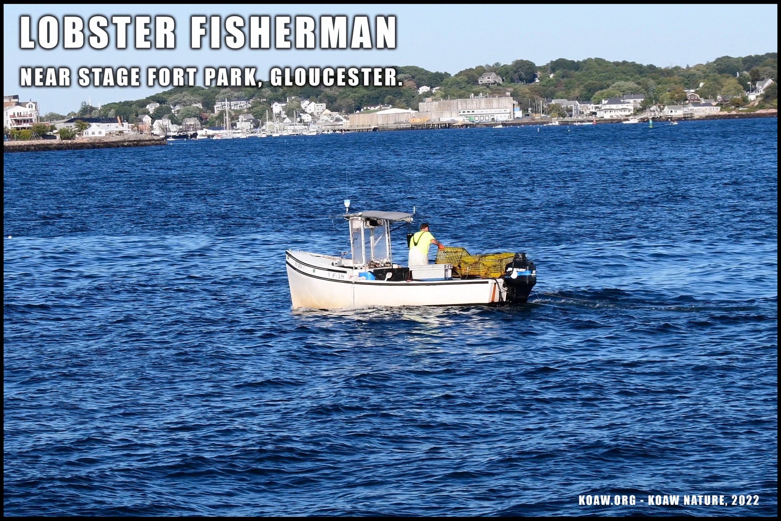 Lobster Fishermen in Gloucester Massachusetts