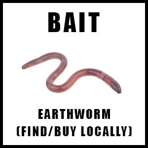 earthwormforbaitlinkbox.jpg