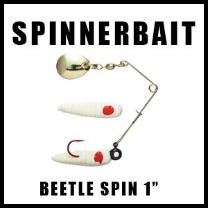 BEETLESPINLINKBOX1INCH.jpg