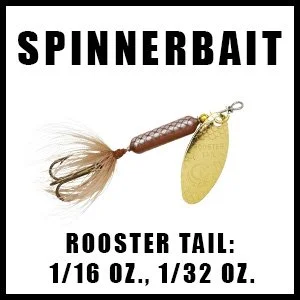 ROOSTERTAIL116132LINKBOX.jpg