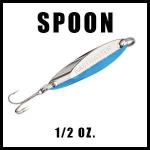 KASTMASTERSPOON12OZLINKBOX.jpg