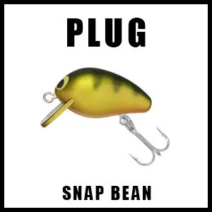 SNAPBEANLINKBOX.jpg