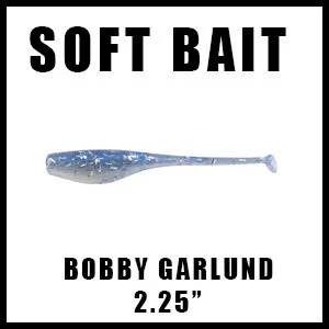 BOBBYGARLUND225LINKBOX.jpg