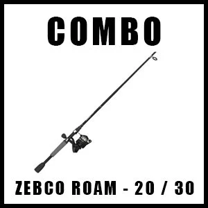 ZEBCOROAM2030LINKBOX.jpg