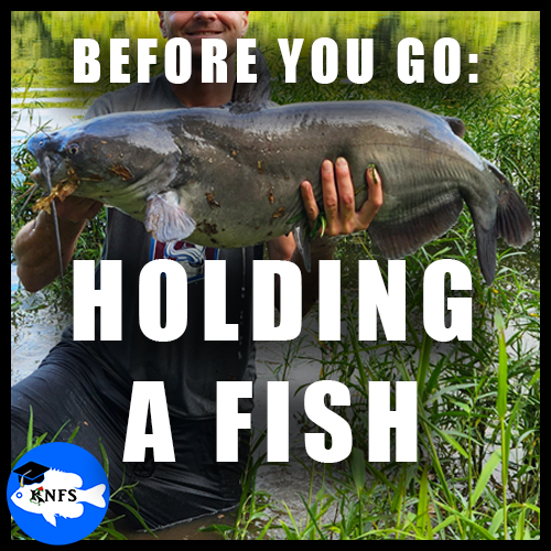 HOLDINGAFISHKNFS_KOAWTUT.png