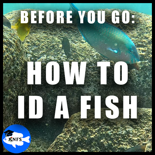 HOWTOIDAFISH_KNFS_FISHINGGUIDE.png
