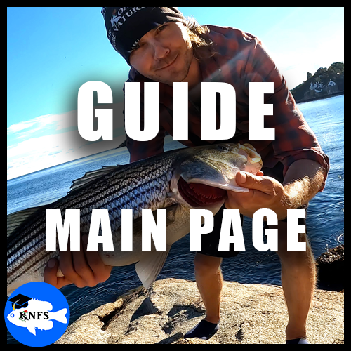 redo_koaws_guide_mainpage_knfs_fguide.png