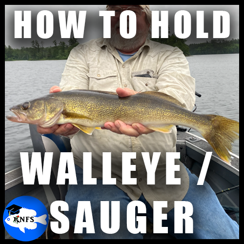 How_to_hold_walleyethumberknfs.png