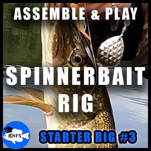 STARTERRIGSONETHUMBER_spinnerbaitrig_KNFS.png