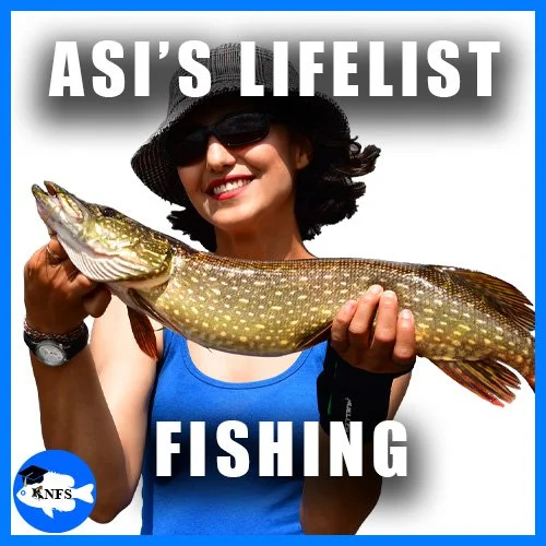asi_lifelist_fishing_alf_thumber4web_knfs2026.jpg