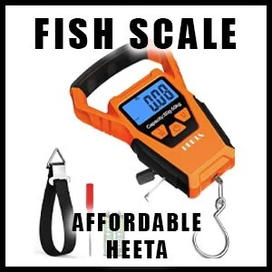 FISHSCALEAFFORDAMZLKFGUIDE26.jpg