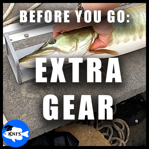 EXTRA_GEARKNFSFGUIDE26.png