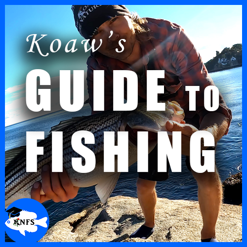 1koawsguidetofishing_main_for_homepage.png