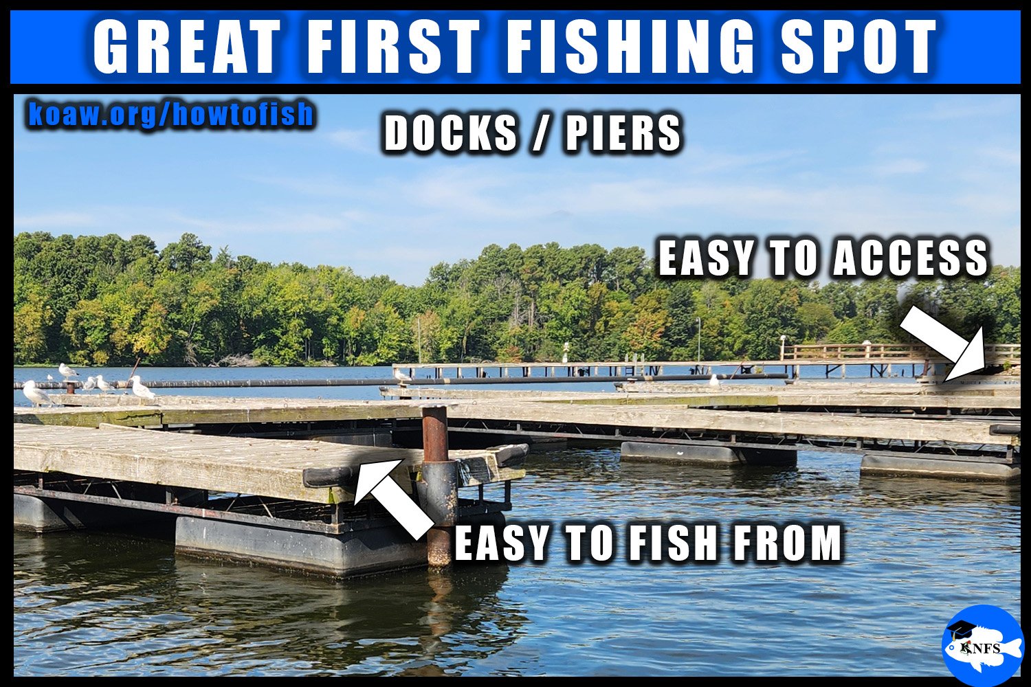 A dock or pier is the perfect first fishing spot for a new angler.