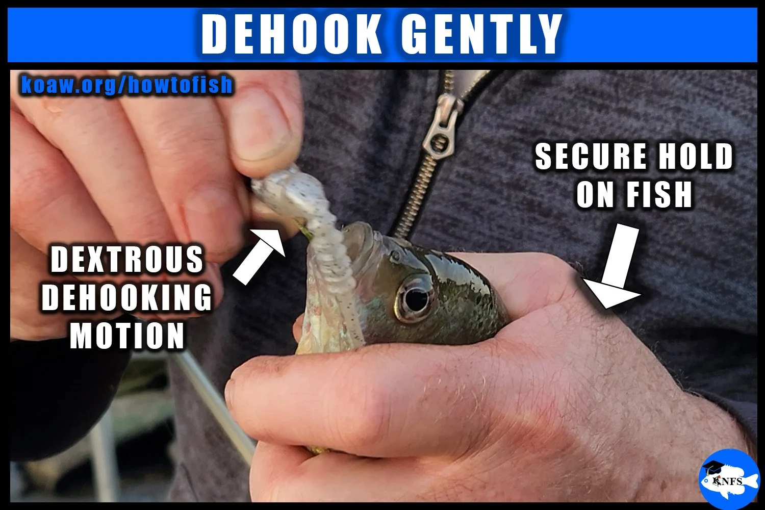 To dehook a fish, simply hold the fish securely and grab the back of the lure; twist the lure and gently pull the barb of the hook out of the fish's mouth.