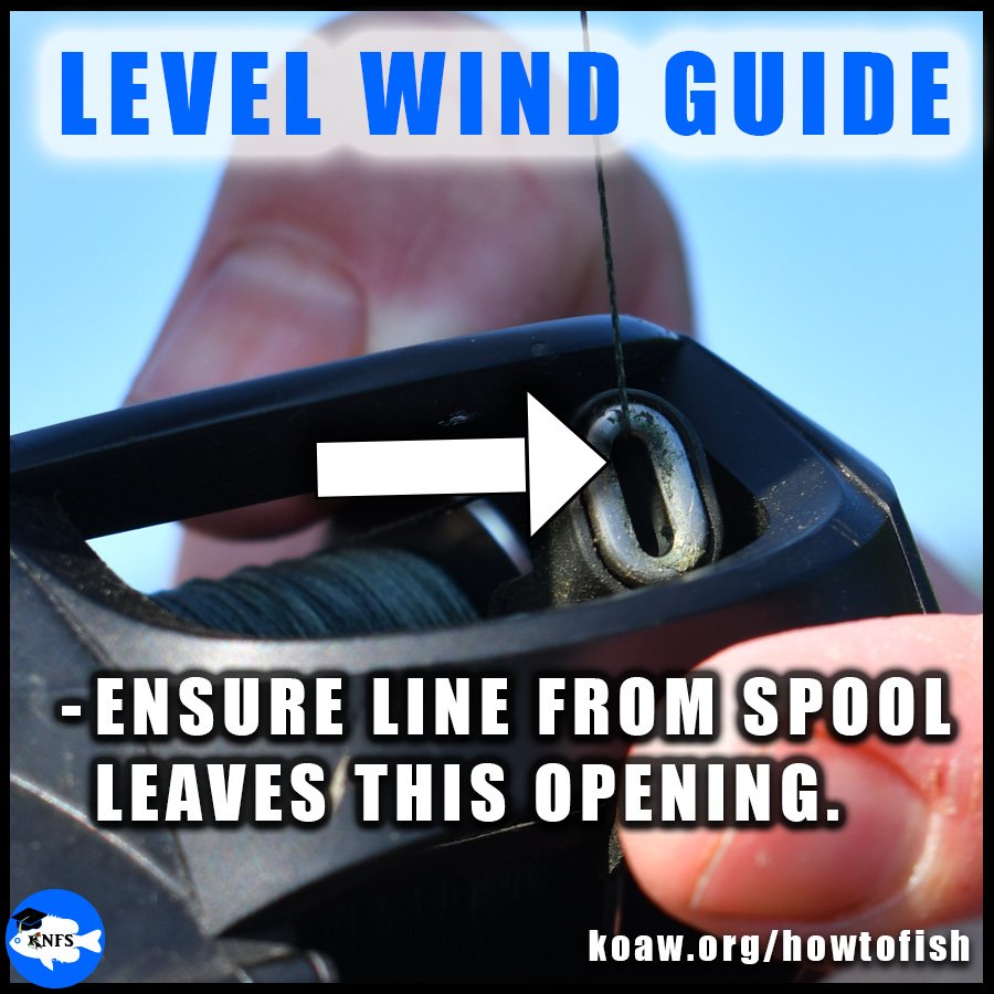 The line from the spool of a baitcaster reel should be threaded through the level wind guide.