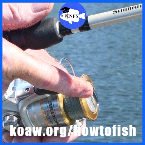 How to bring the line from the reel to the rod handle when using a spinning reel. Koaw fishing guide.