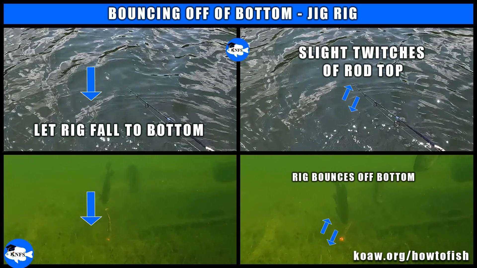 How to bounce the jig off of the bottom when playing a Ned Rig or switching up during a Casting Jig Rig.