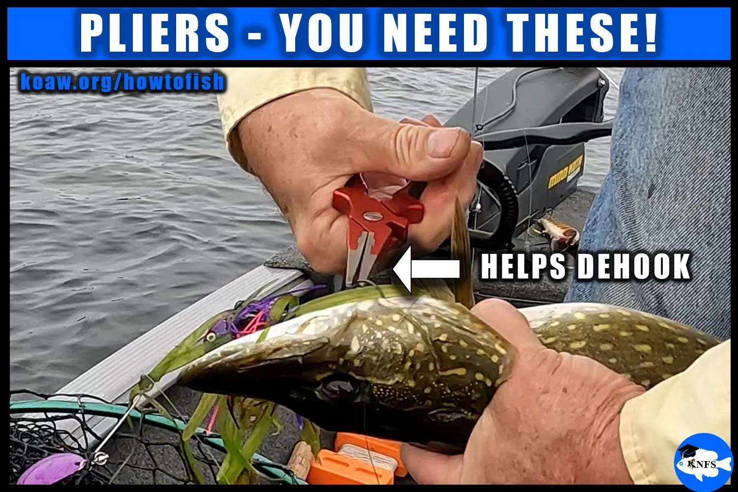 Image shows why every angler should have pliers to help dehook fish.