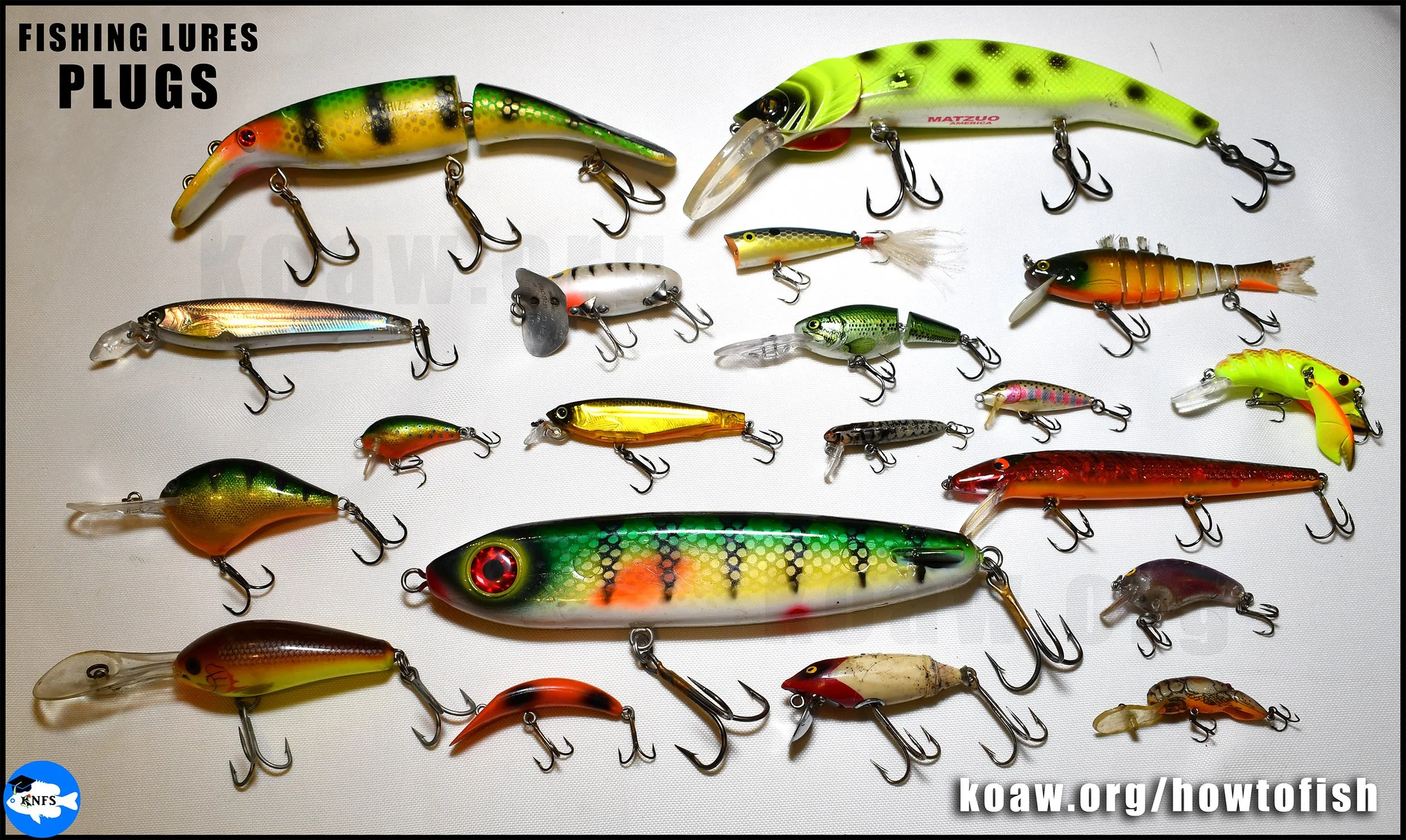 Fishing plugs are hard-bodied lures usually of three categories: diving, surface and sinking.