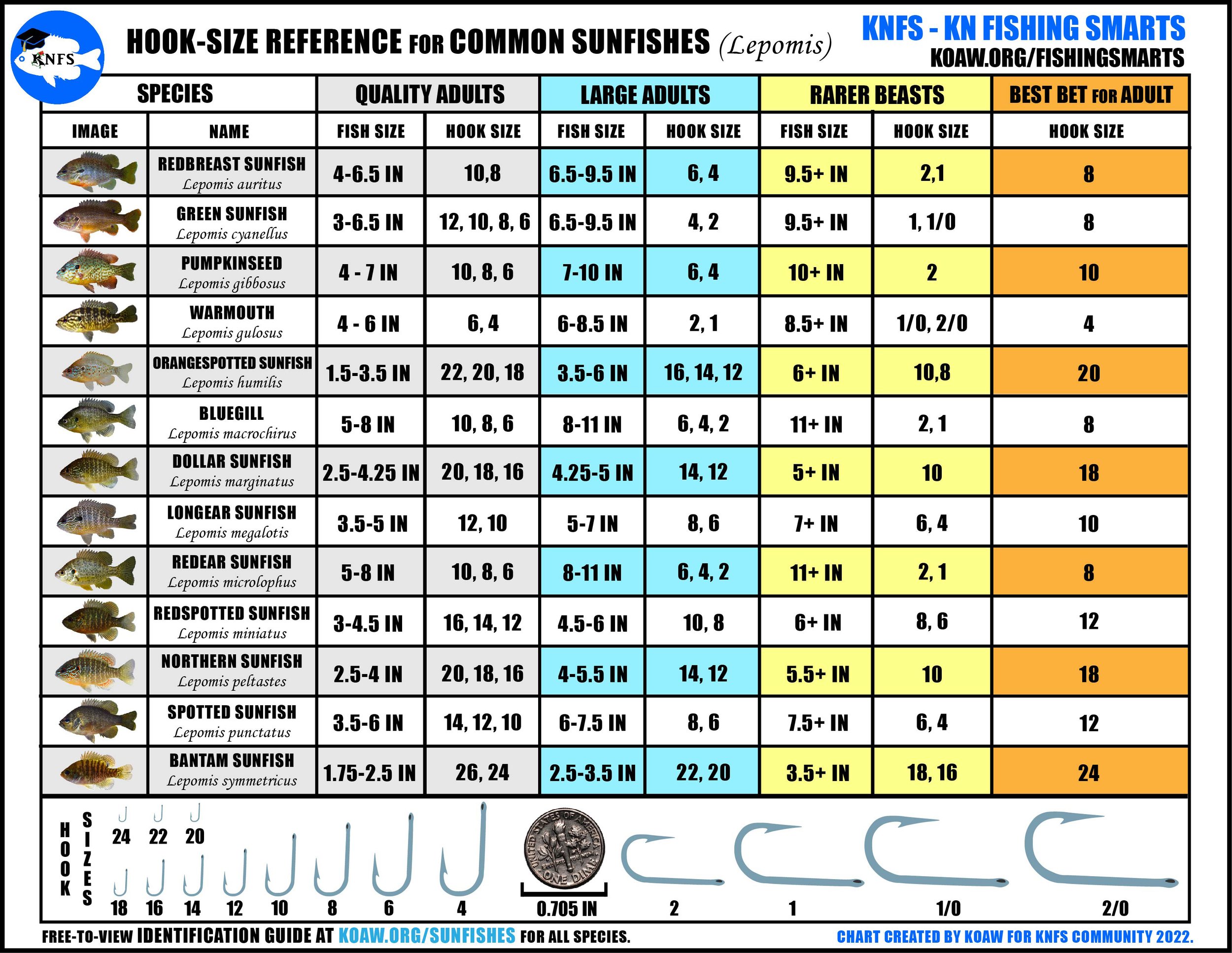 KNFS Free Hook-Size Chart for Common Sunfishes - Bluegill, longear ...