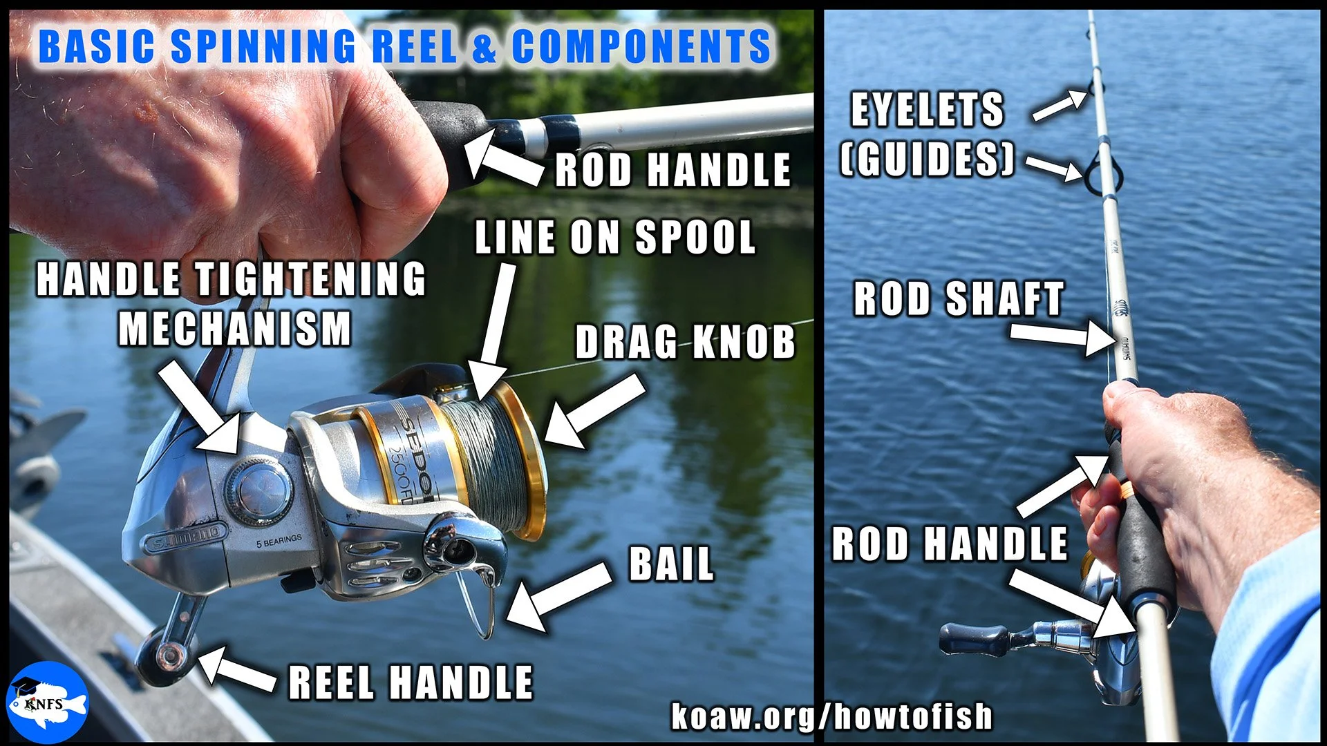 Image shows the relevant components of the spinning rod and reel for this guide.