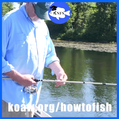 Shows how to check the drag on a spinning reel.