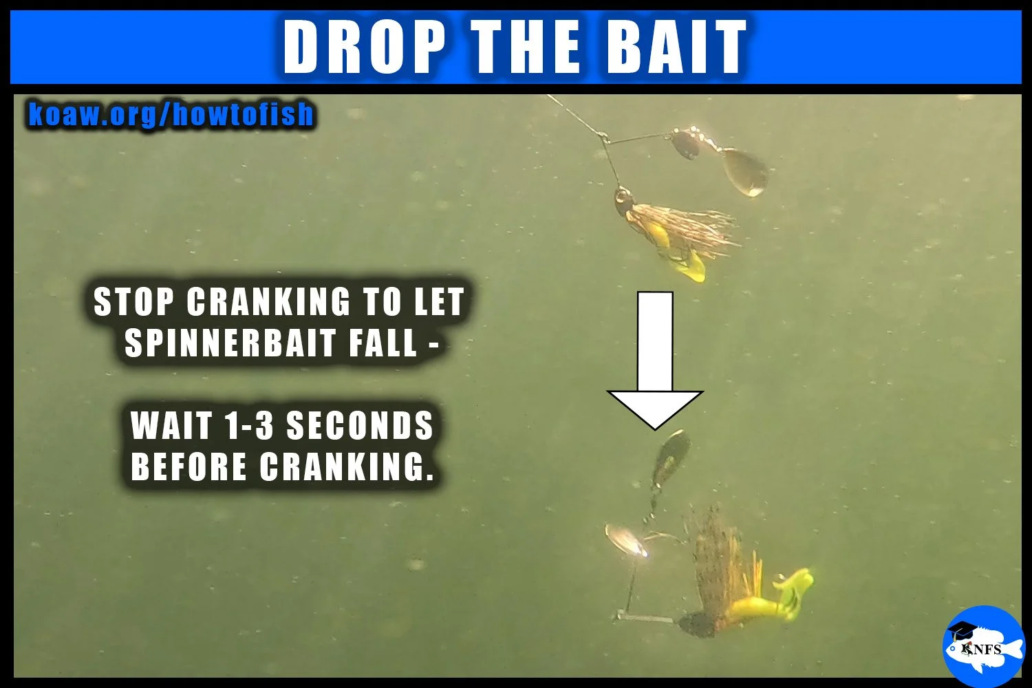 Shows how to play a spinnerbait drop when fishing.