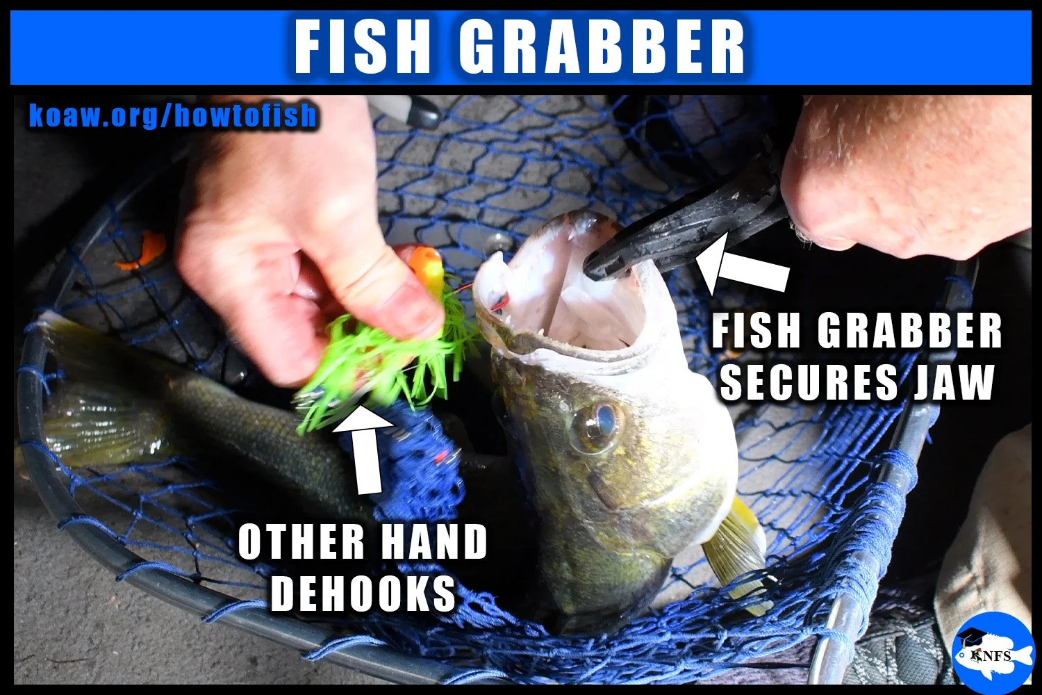 Fish grabber holding a fish by the jaw while angler dehooks fish.