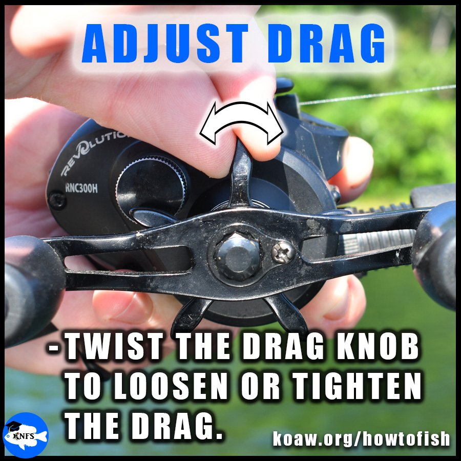 The star drag knob adjusts on a baitcaster to tighten and loosen the drag.