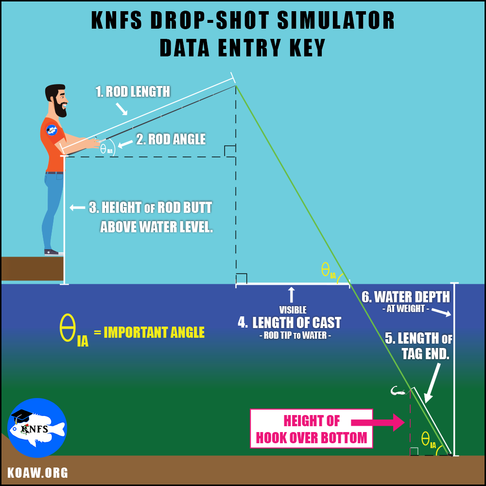 Drop-Shot Simulator - See Your Rig Underwater — Koaw Nature
