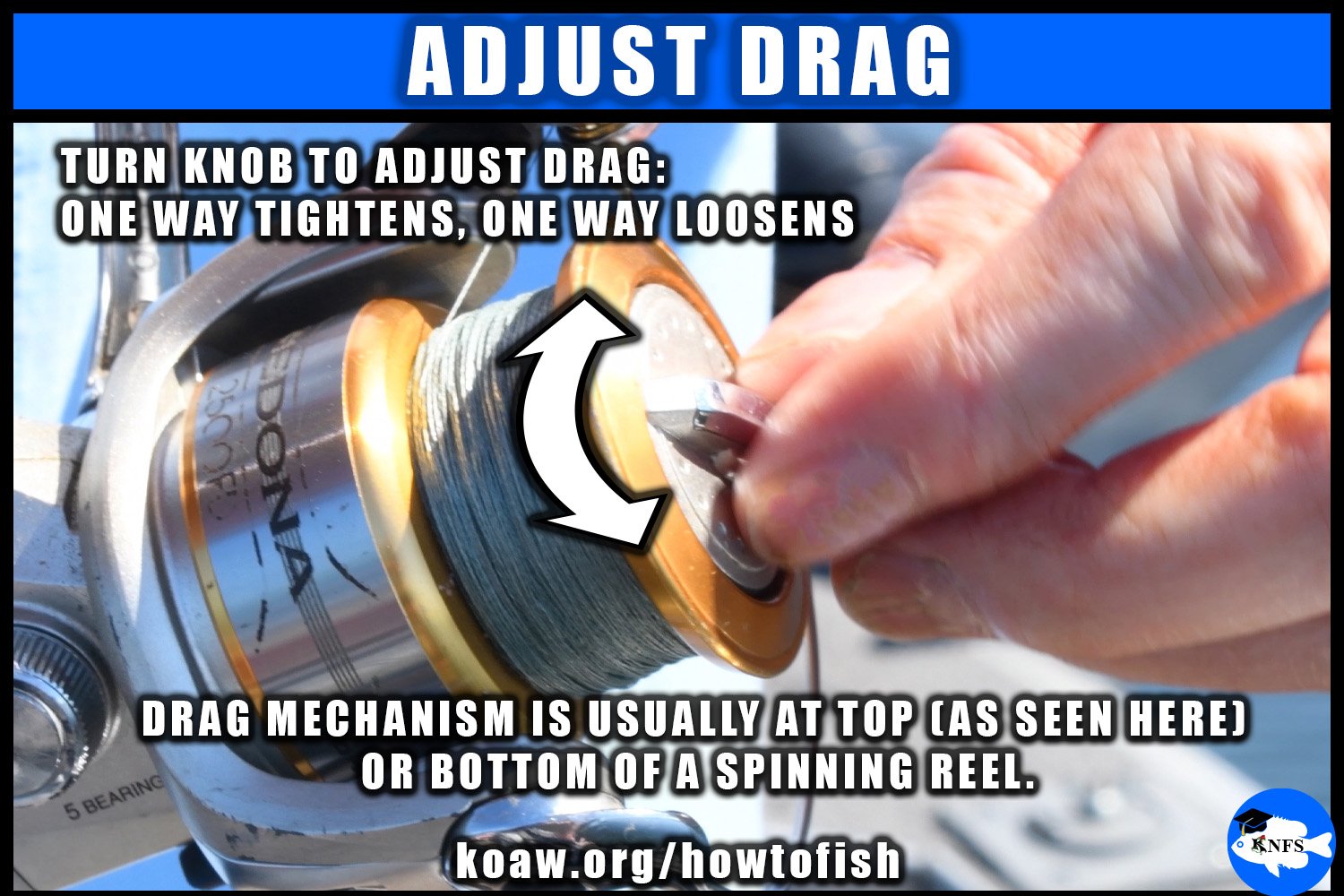 Shows how to adjust the drag on a spinning reel.
