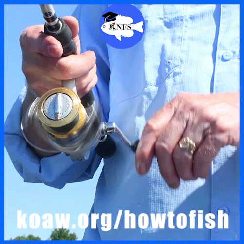 Gif of a spinning reel being cranked.