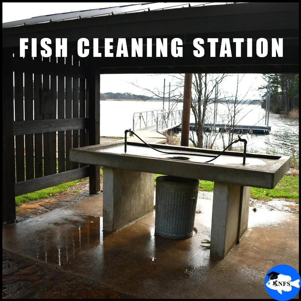 Fish cleaning station: Public resource for anglers to filet their harvest; often has running water and waste disposal nearby.