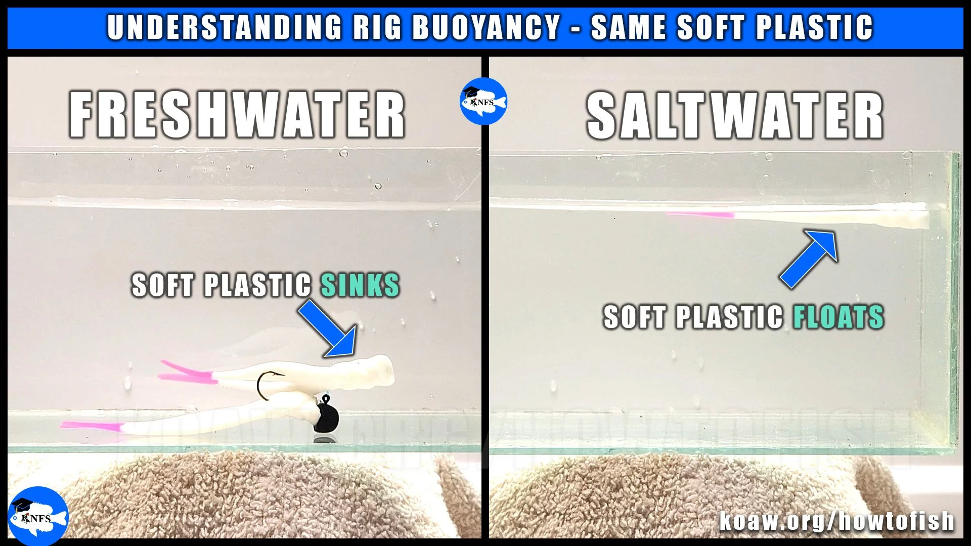 Shows how the same soft plastic for fishing a jig floats in saltwater but sinks in freshwater.