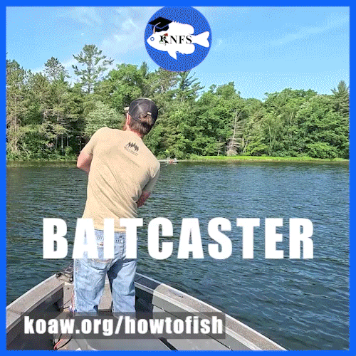 A gif image of an angler casting a baitcaster rod and reel.