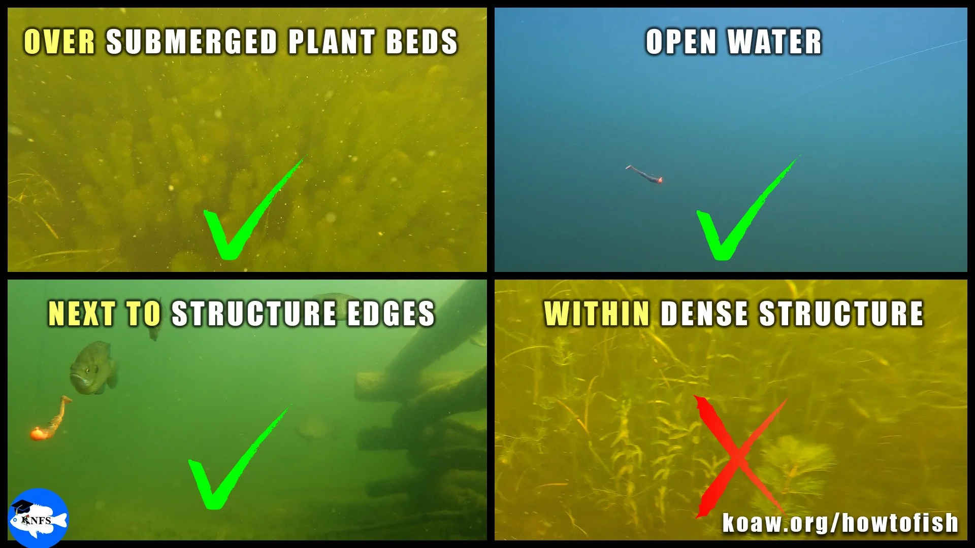 Shows good and bad areas to cast a jig rig for fishing.